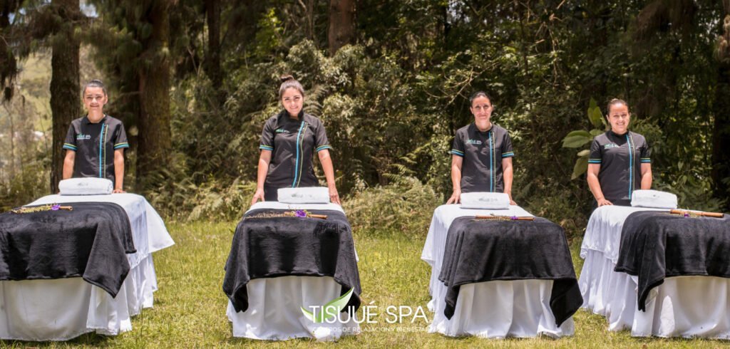 franquicias tisuue spa